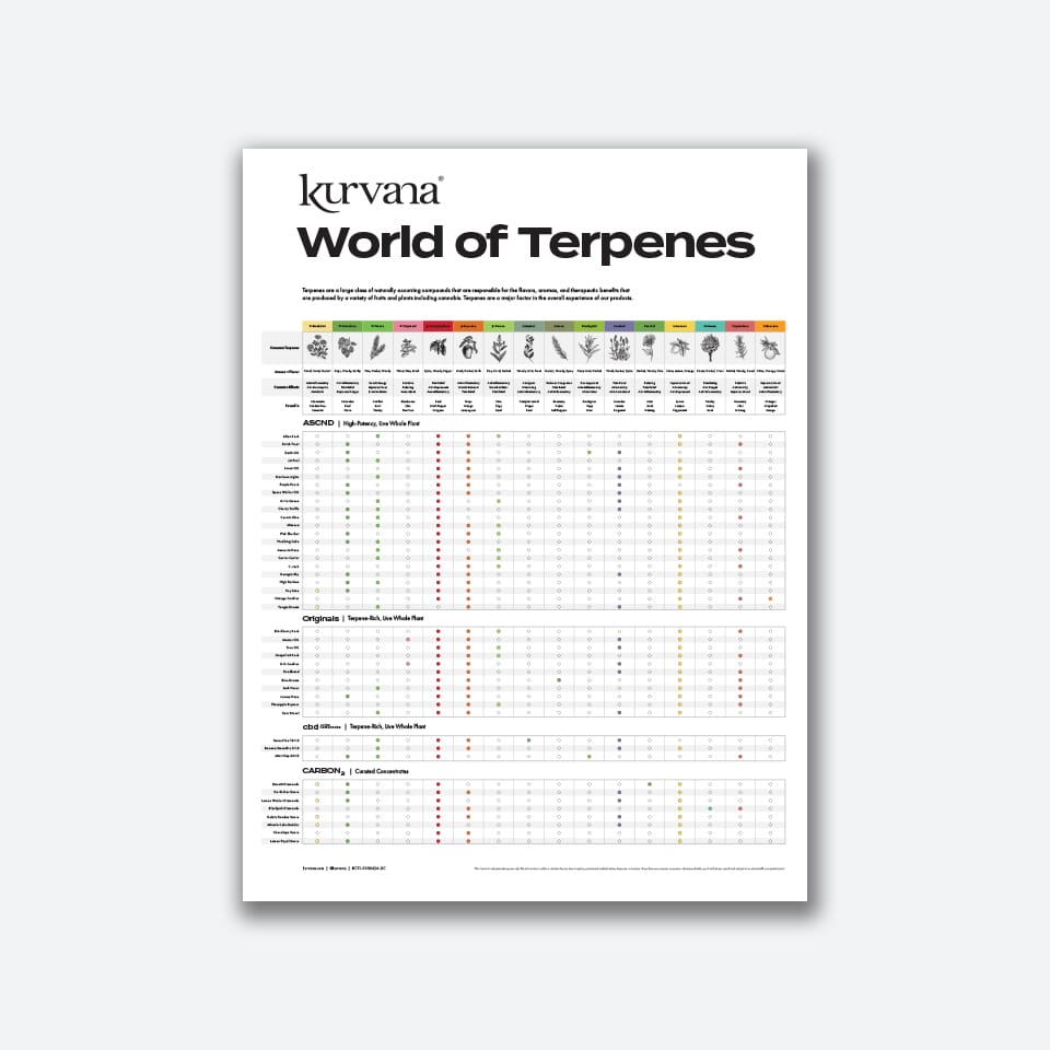 kurvana-world-of-terpenes-poster | Kurvana | Curated for years. Experienced in moments. Kurvana's World of Terpenes chart detailing various terpene profiles, their aromas, effects, and occurrences in cannabis strains.
